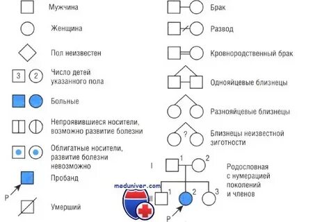 На схемах родословных женщину обозначают