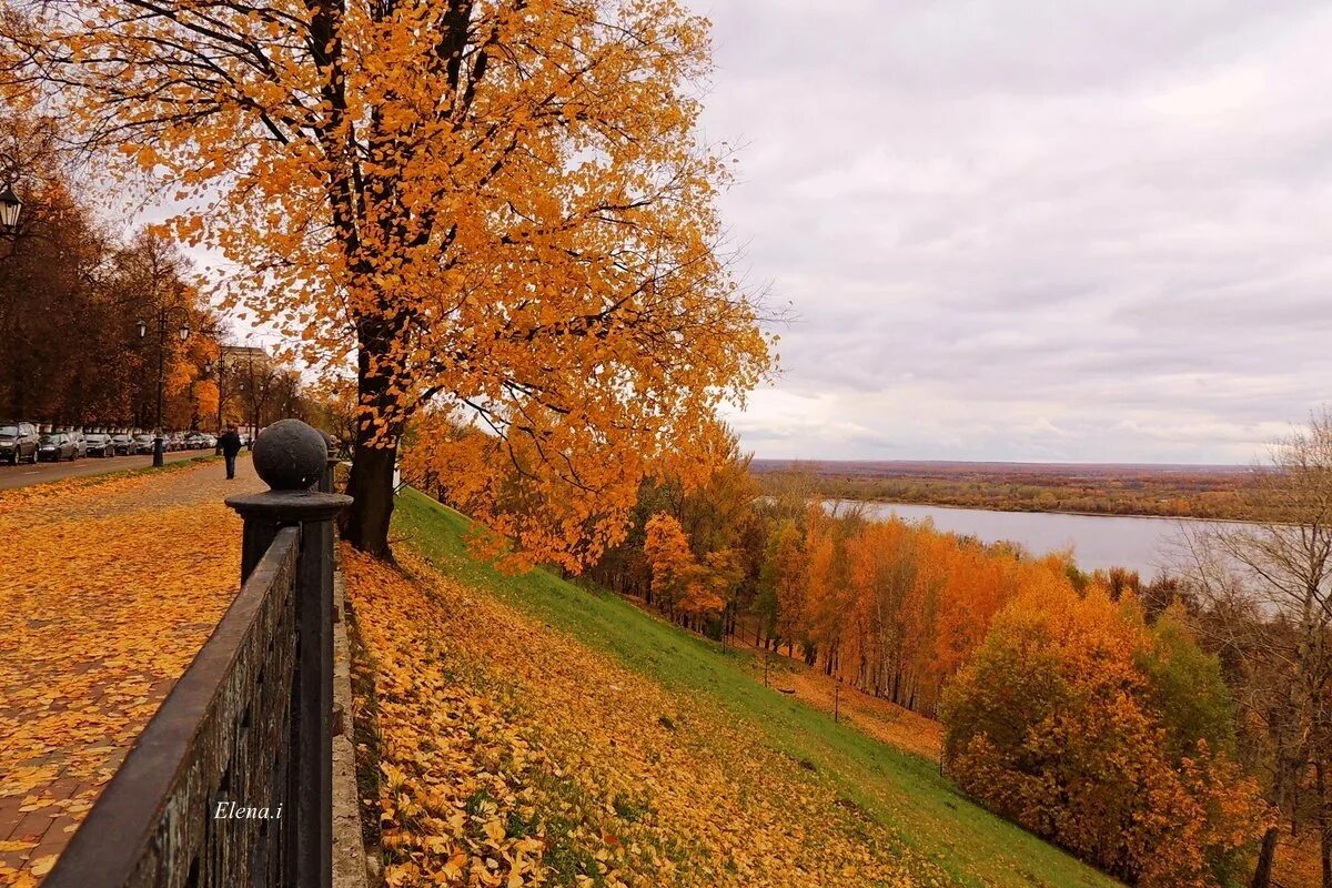 нижегородский кремль осенью. великий новгород осенью. золотая осень великий новгород. ораниенбаум в золотую осень. осень выдалась.