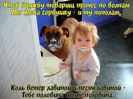 Чтоб дружбу товарищ пронес по волнам