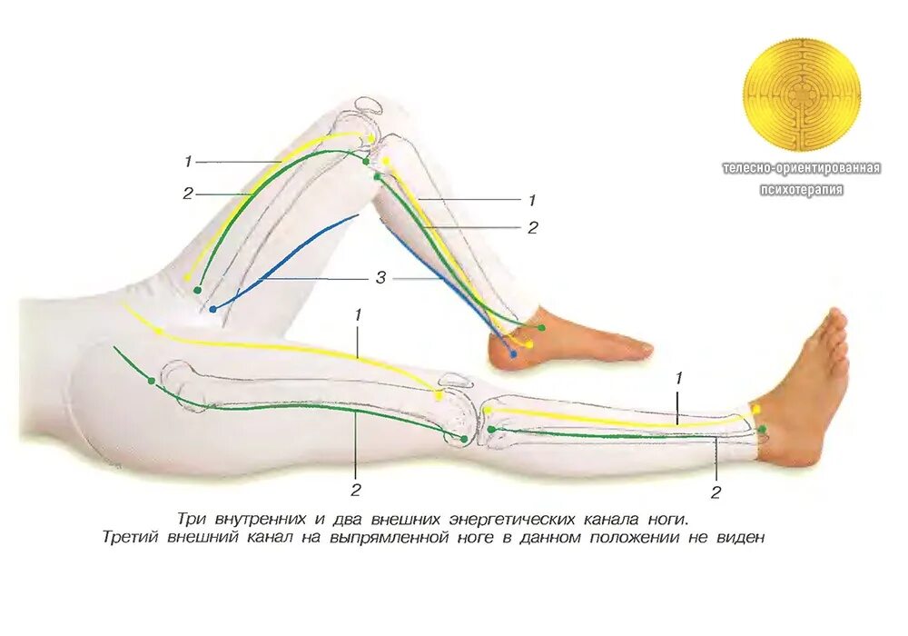 Линии сен. Меридианы ног энергетические. Энергетические каналы внешняя сторона ноги. Энергетические каналы на стопе. Ноги канал Меридиан.