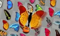 Butterfly Kyodai Deluxe. Баттерфляй Киодай Делюкс. Фотообои Butterfly Kyodai Deluxe. Баттерфляй делюкс игра