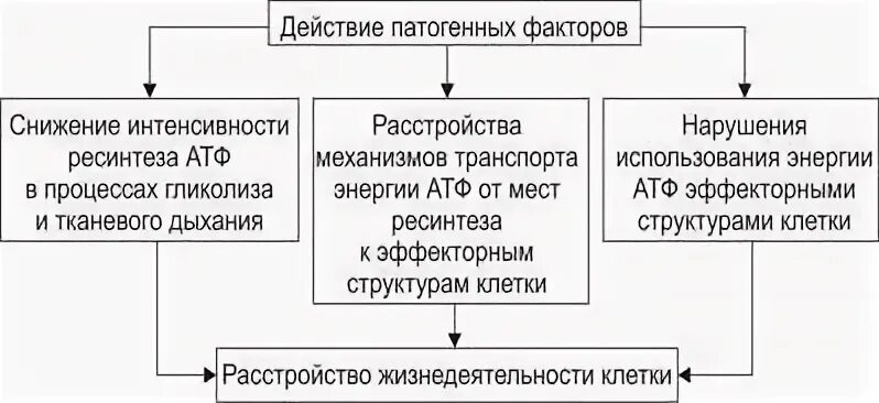 Механизмы повреждения мембран клеток