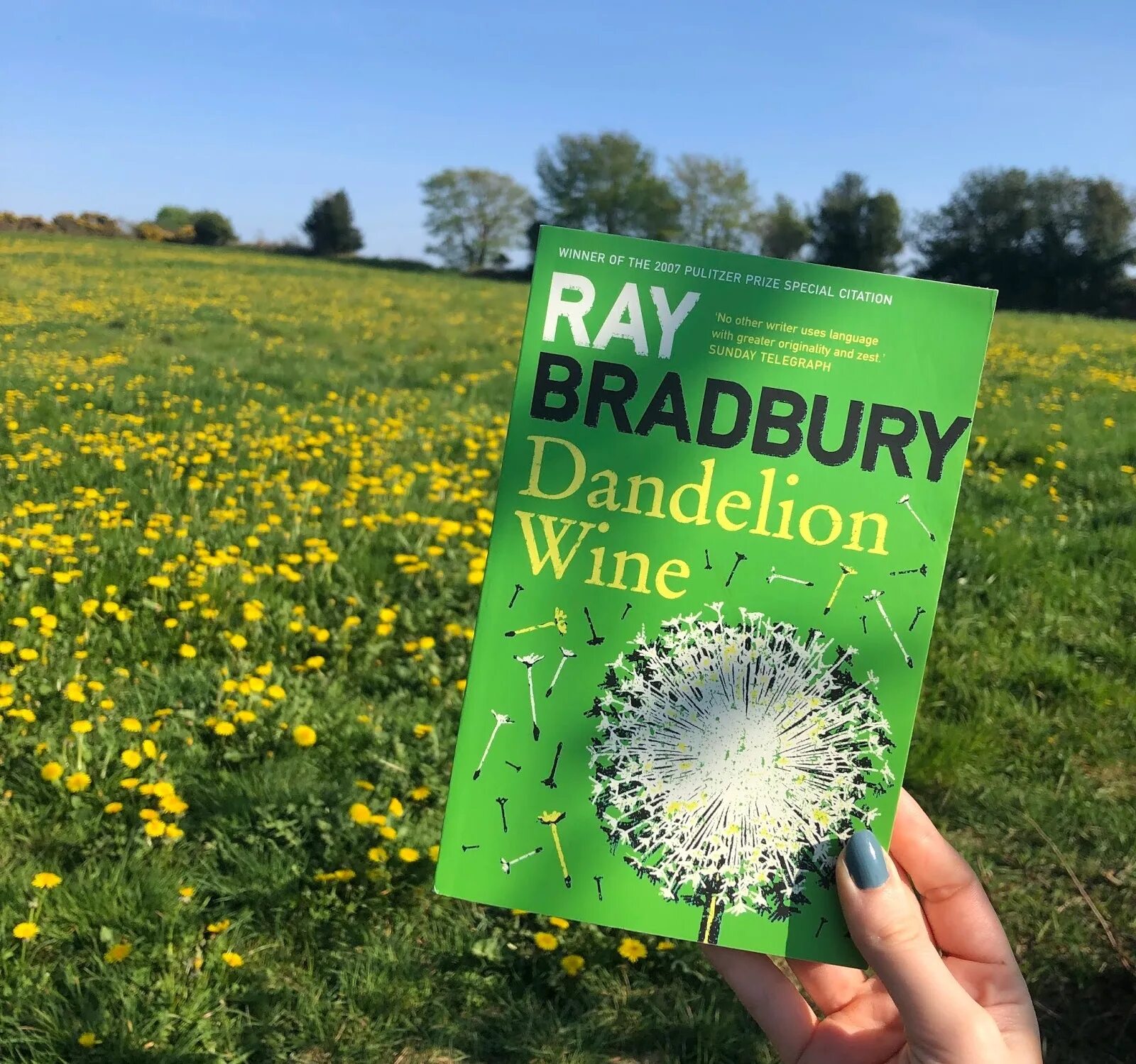 Ray bradbury "dandelion wine". Вино из одуванчиков на английском. Dandelion wine,1957. Вино из одуванчиков на английском. Вино из одуванчиков на английском.
