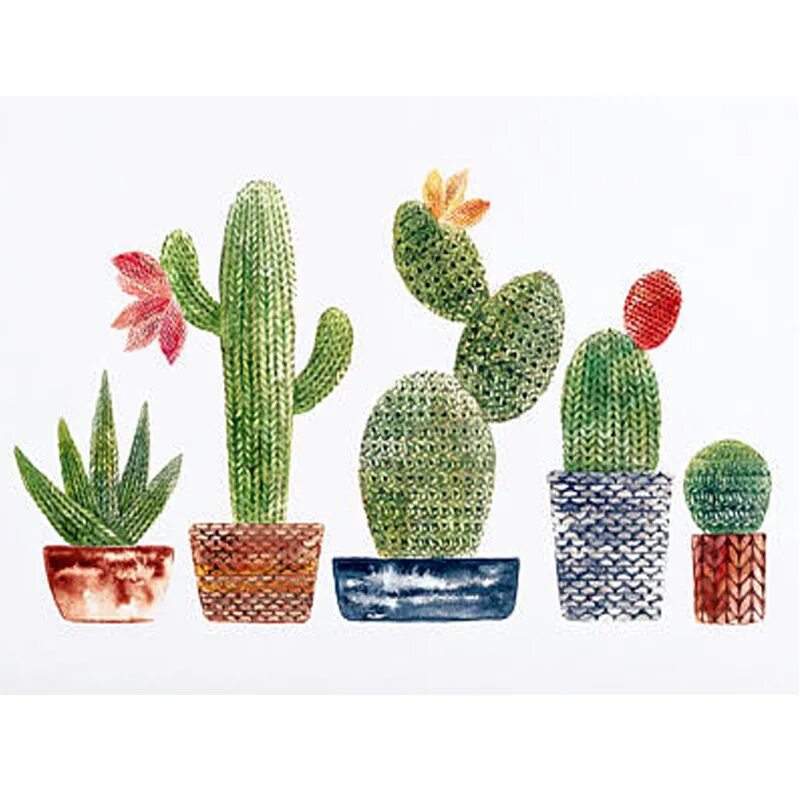 Cactus 5. Вышивка Кактус. Кактусы алмазная вышивка. Картина скандинавские кактусы. Кактус пятерка.