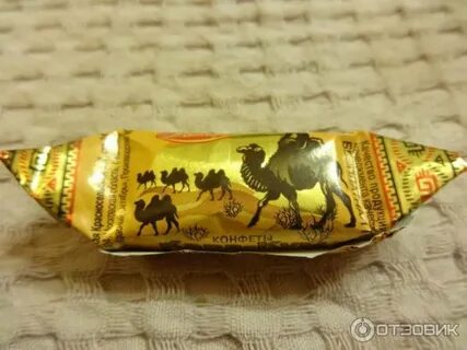 Каракум отзывы