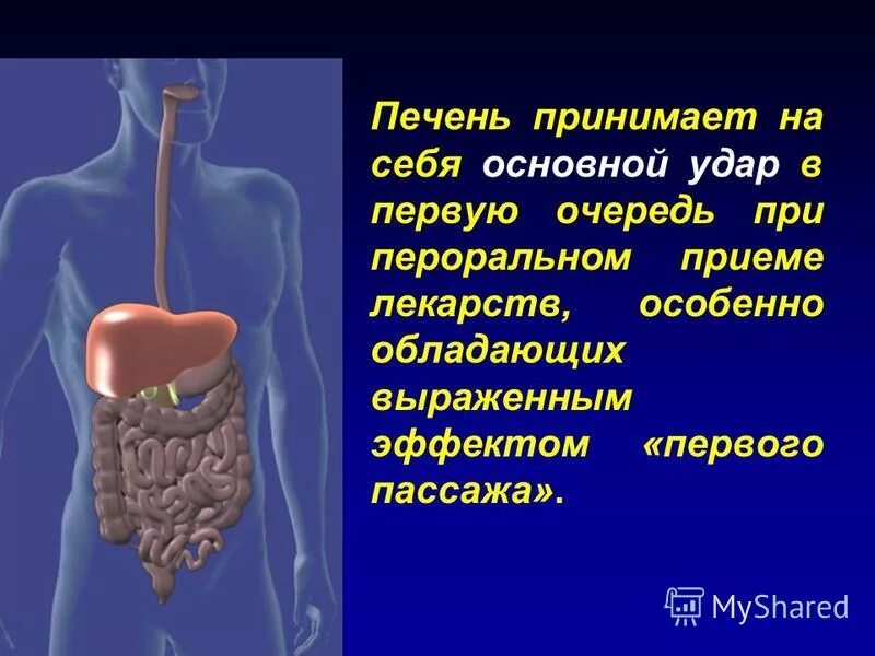 Через печень проходят. Эффект первого прохождения через печень. Эффект первого прохождения через печень на англ.