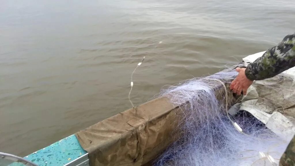 Рыбалка сетью на реке. Невод 110 метров. Рыбацкая сеть. Сеть для рыбалки. Ловля сетями.