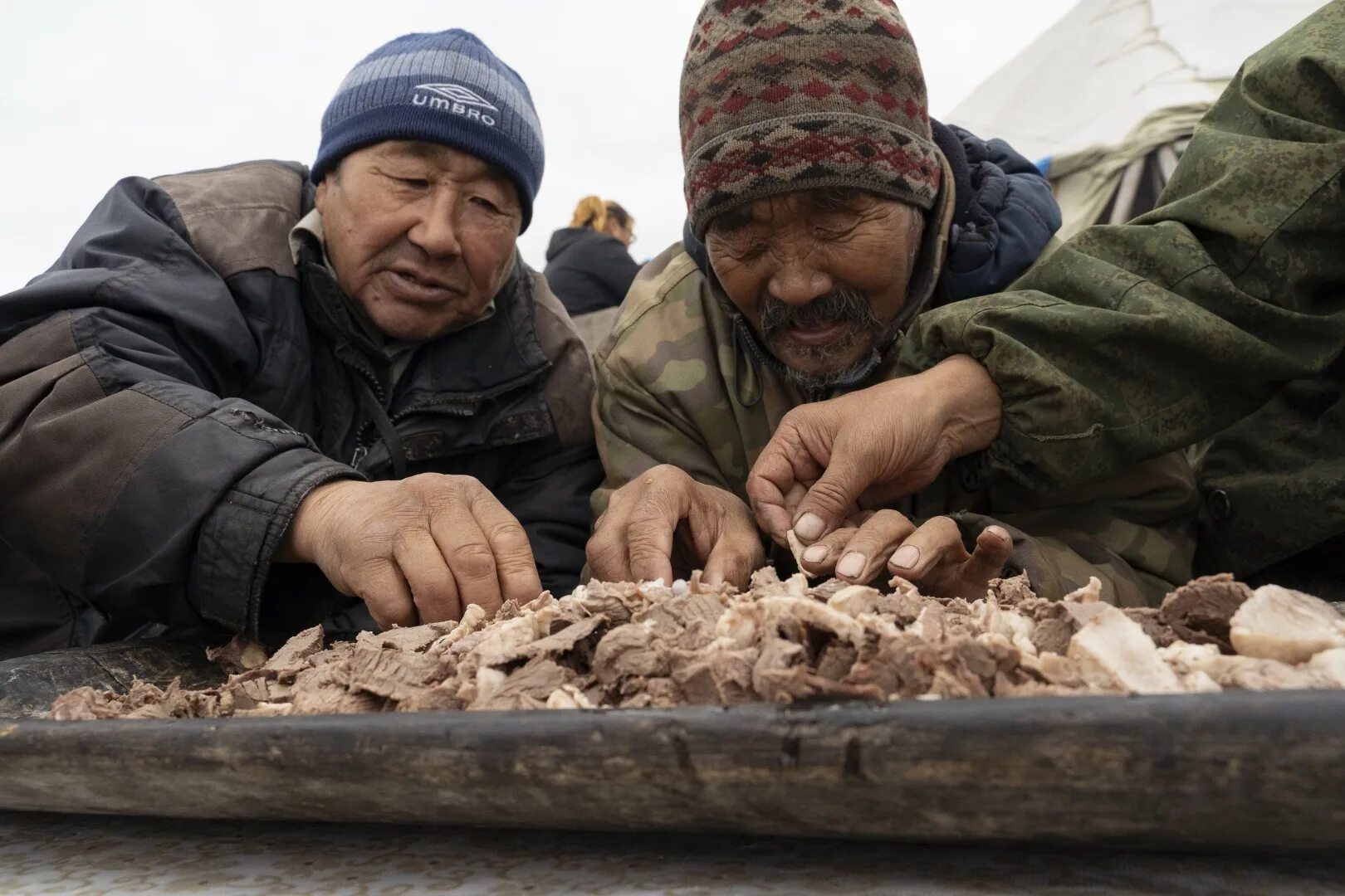 Эскимосы едят сырое мясо. Кухня северных народов. Оленеводов ненцы строганина. Чукчи ненцы эскимосы. Монголоидная раса ненцы.