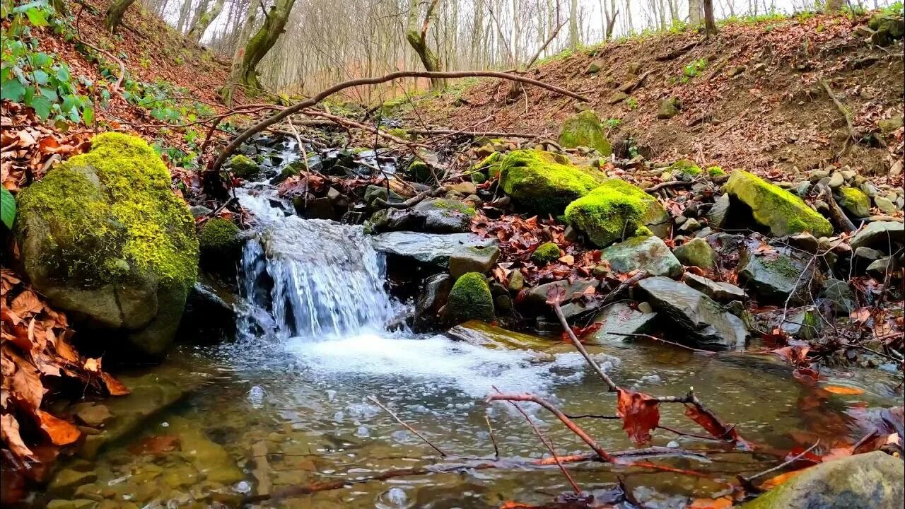 Журчание реки. Шум ручья. Журчание воды ручей. Шум ручейка. Журчание воды слушать для ребенка