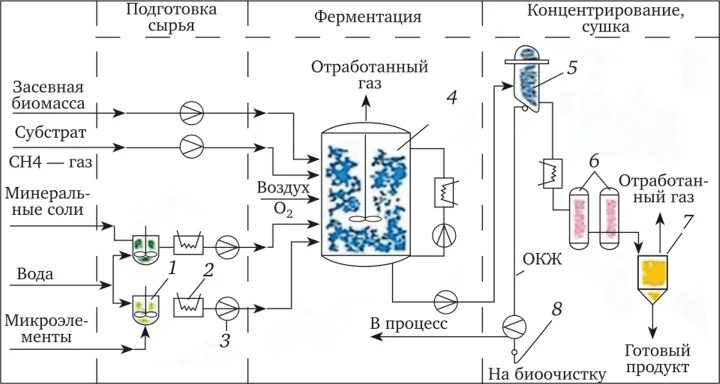 Белки биотехнологии. Технологическая схема получения микробного белка. Блок-схема производства кормового белка. Технологическая схема производства витамина в12. Принципиальная схема биотехнологического производства.