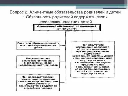 Размер алиментов на совершеннолетнего ребенка