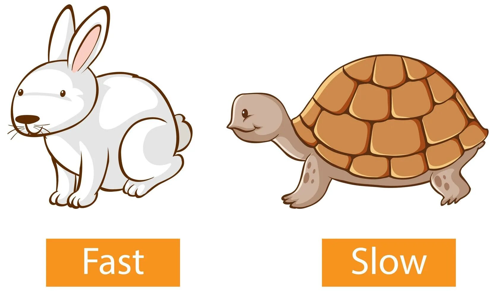Карточки opposites. Быстрый и медленный на английском. Clean dirty opposites. Fast slow for kids. Fast slow.