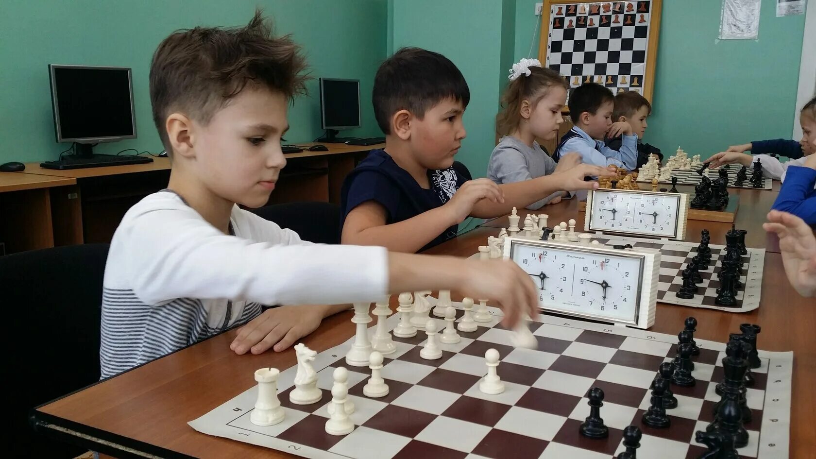 Шахи текст