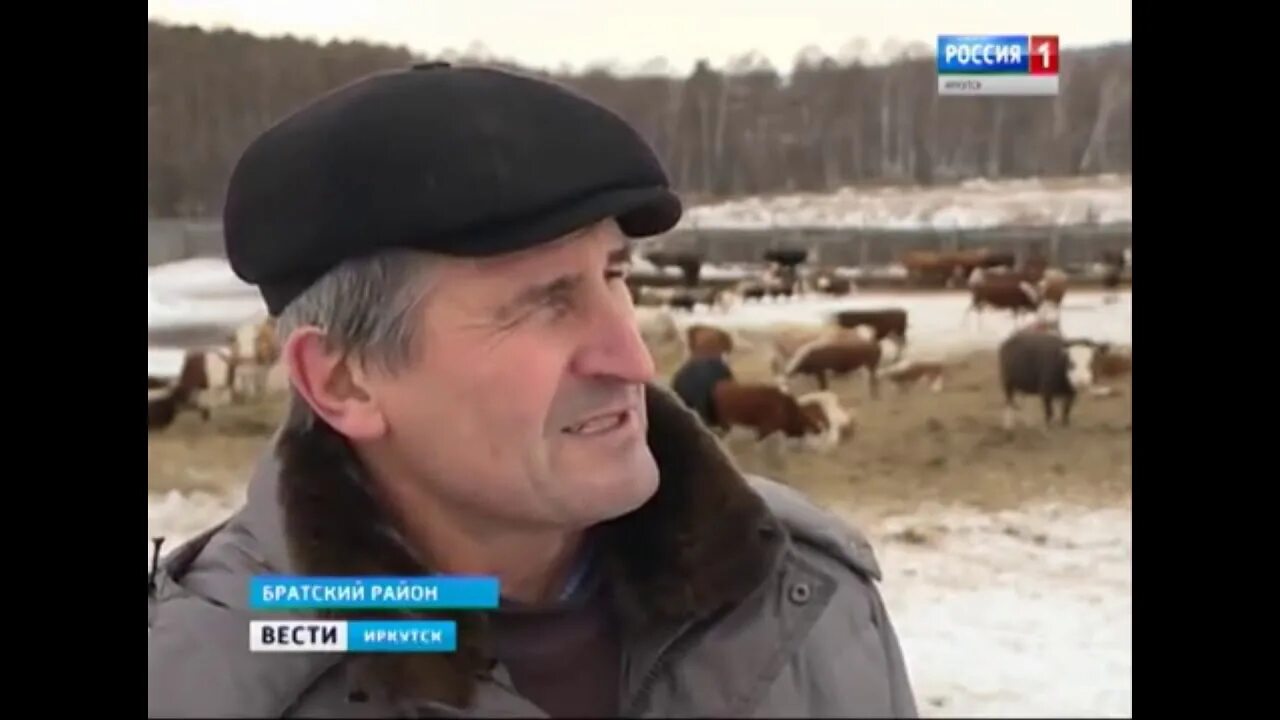 Иркутск фермеры. Иркутск фермеры. Ферма милаша иркутск. Ферма милаша иркутск. Ферма в хомутово.