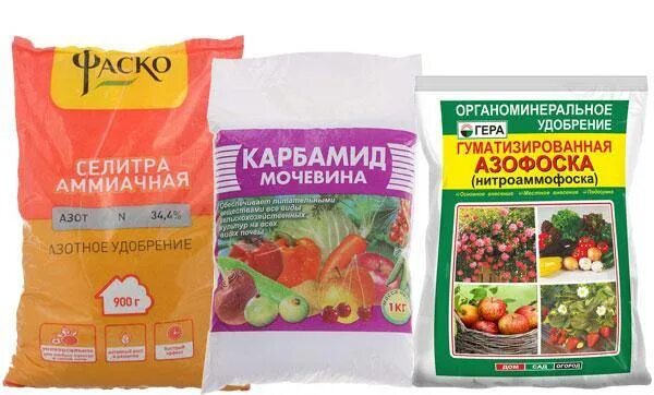 Подкормка томатов селитрой. Удобрение селитра калиевая бхз, 20гр. подкормка аммиачной селитрой. аммиачная селитра удобрение бхз. хлористый калий и суперфосфат.