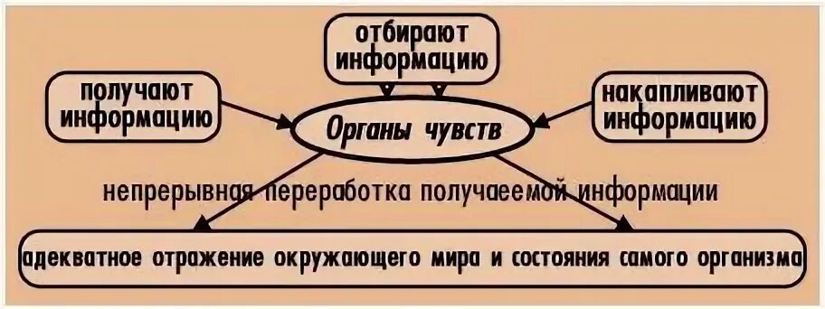 Ощущение единственное