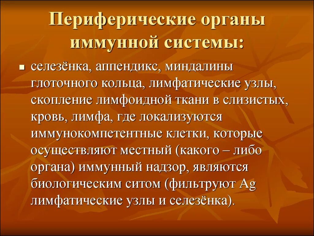 Периферические органы иммунной системы. Периферические органы иммунной системы аппендикс. К периферическим органам иммунной системы относят. Миндалины орган иммунной системы.