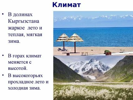 Функции куль