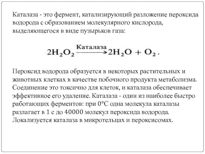 Каталитическое разложение пероксида водорода. Разложение перекиси водорода уравнение реакции. Реакция разложения пероксида водорода. Уравнение реакции разложения пероксида водорода. Пероксид водорода и картофель