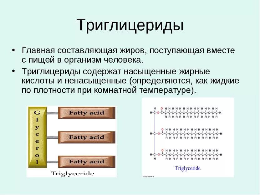 Триглицериды где. Триглицериды жирных кислот структура. триглицериды строение. триглицерид строение. триглицериды насыщенные и ненасыщенные.