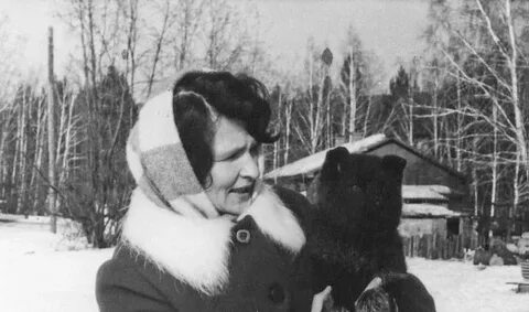Создатель лайка фото