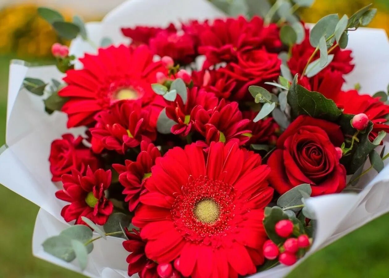 Красивые розы. Шикарные цветы. Ютуб цветов. Ютуб цветы. Ютуб цветов.