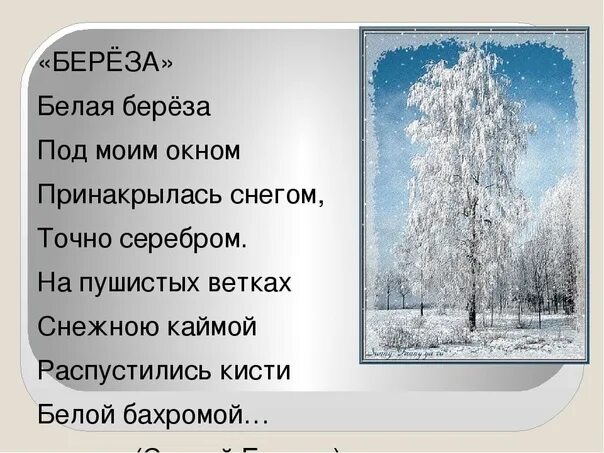 Стихотворения печальная береза. Стихотворение Фета печальная береза. Белая берёза под моим окном Принакрылась снегом точно серебром. Стихотворение белая береза.