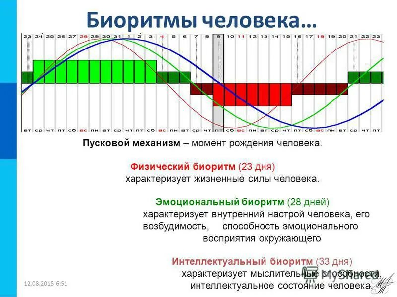 Совместимость биоритмов по дате рождения