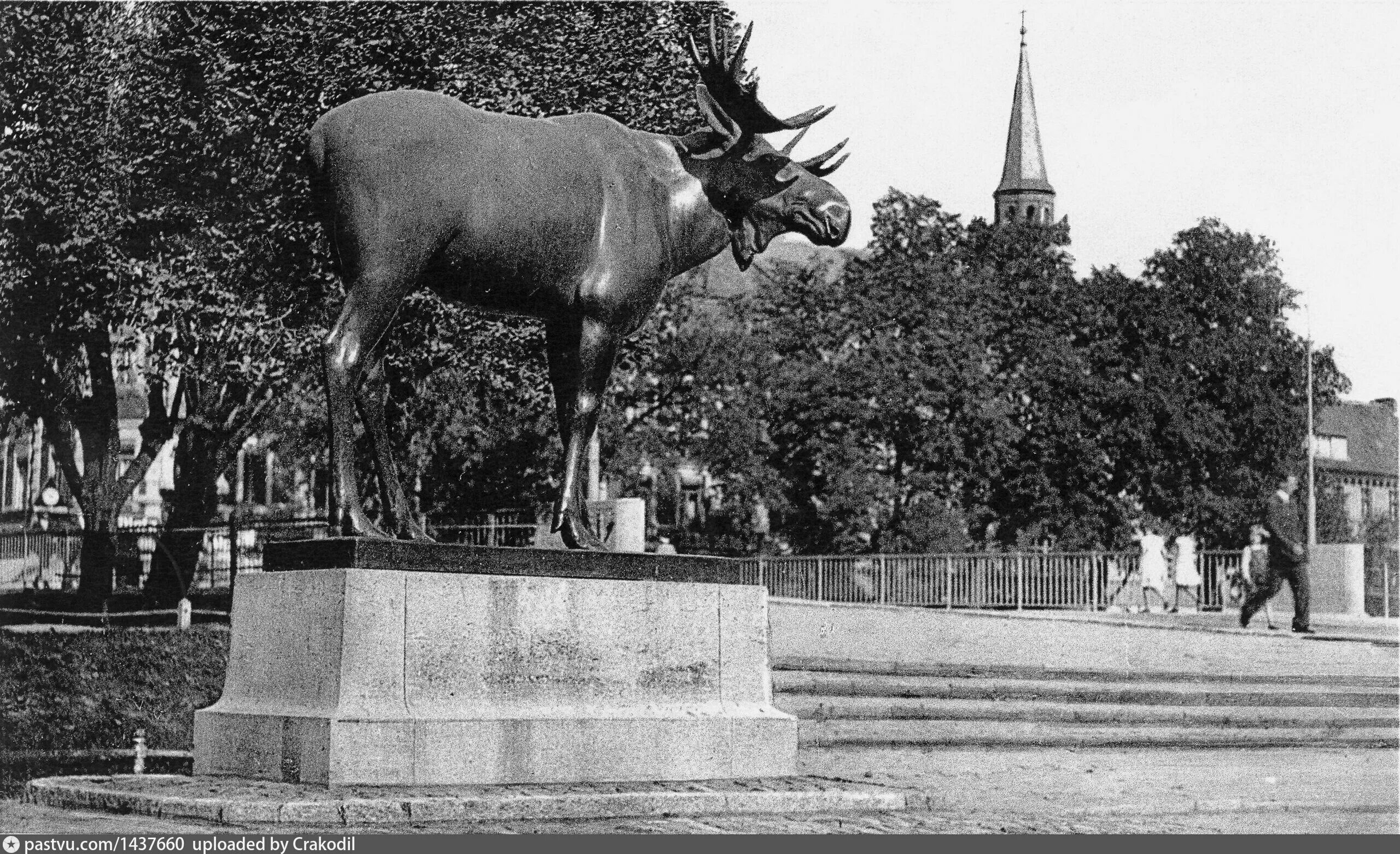 Востоков лось. Тильзит Калининградской области Лось. Скульптура лося в Гусеве. Советск город Гусев.