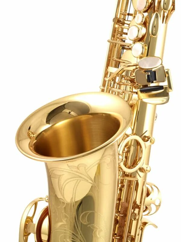 Саксофоны yanagisawa. Yanagisawa alto wo10. янагисава саксофон. янагисава саксофон 173171 каталог. саксофон пикколо.