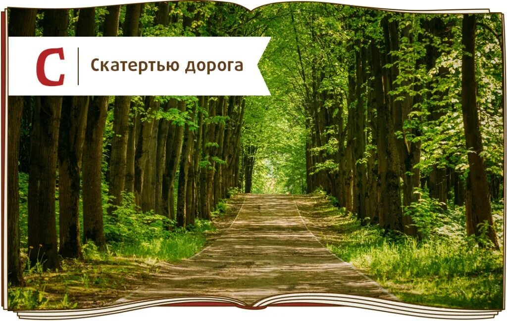 Алекс скатертью дорожка. Скатертью дорога. скатертью дорожка. открытка скатертью дорога. скатертью дорога на руси.