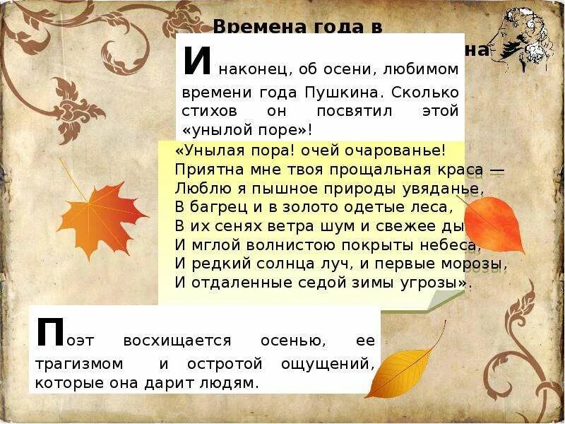 Сочинение стих пушкина. Времена года в творчестве Пушкина. Пушкин отношение к осени. Стихотворение про любимое время года. Стихотворение Пушкина про осень.