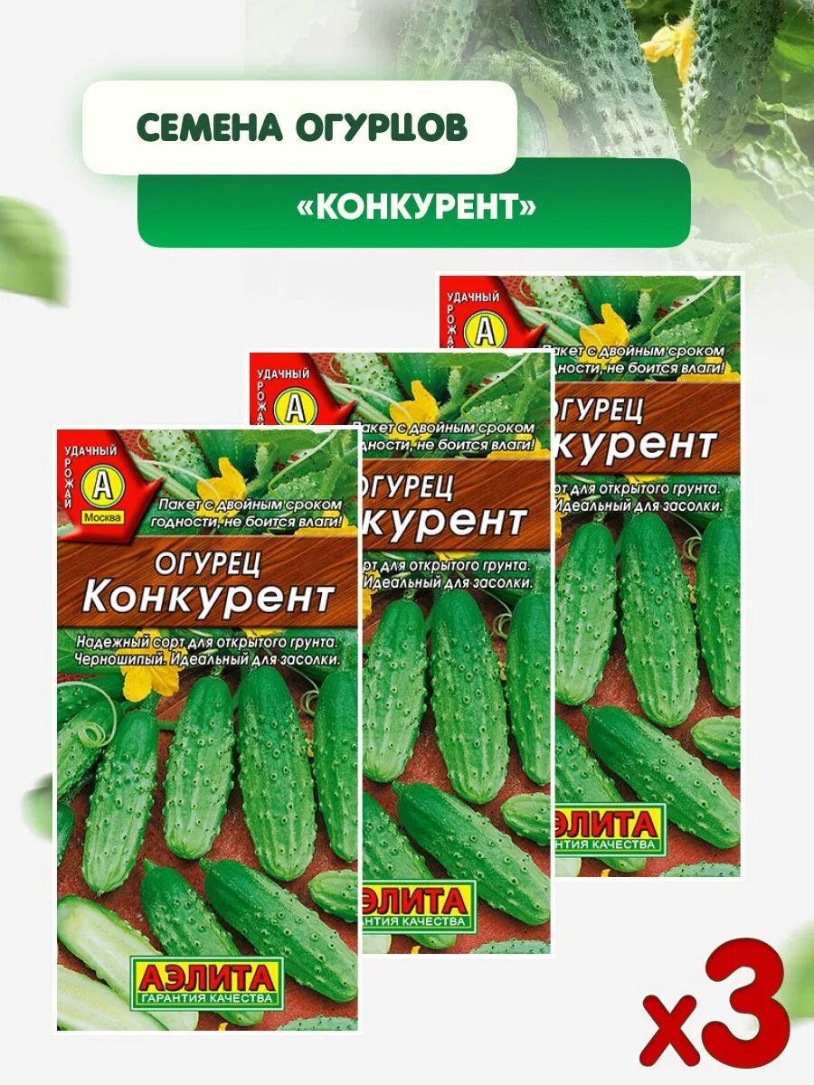 Огурцы конкурент фото - 77 картинок