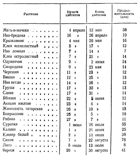 Время нектара. Таблица сроков цветения медоносов. Таблица медоносов средней полосы России. Медоносы таблица продуктивности. Таблица сроки цветения медоносов Сибирь.