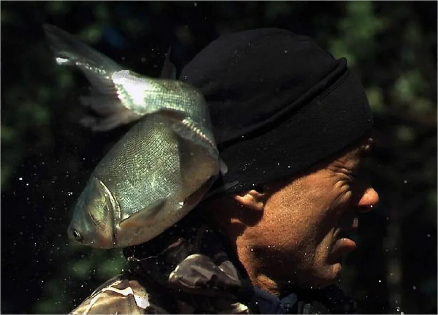 Речные монстры. Речные монстры самые страшные рыбы. Необычная рыбалка. Киллер Фиш. Fish killer