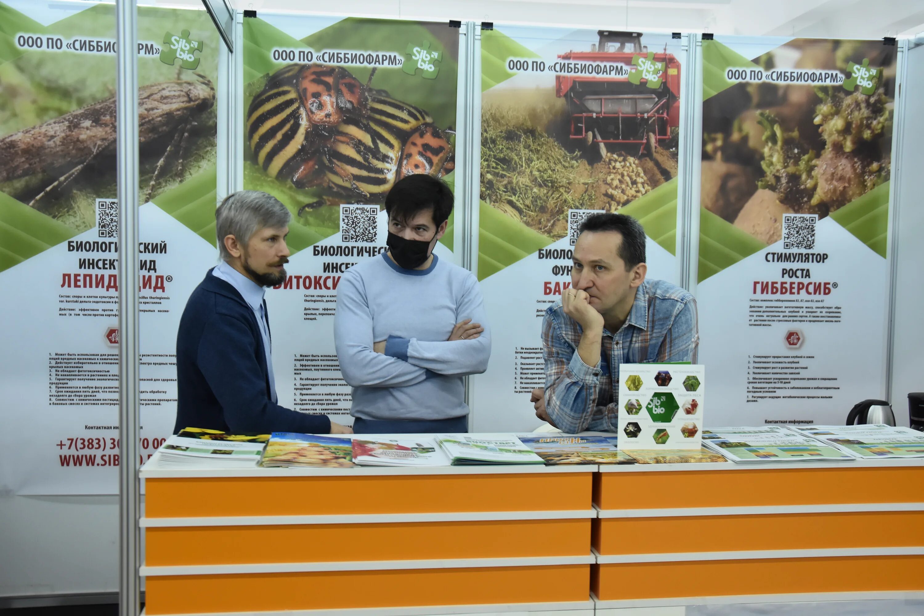 выставка картофеля в чебоксарах. выставка картофеля в чебоксарах. выставка картофеля в чебоксарах. выставка картофеля в чебоксарах.