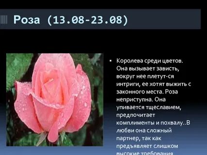 Какой ты цветок