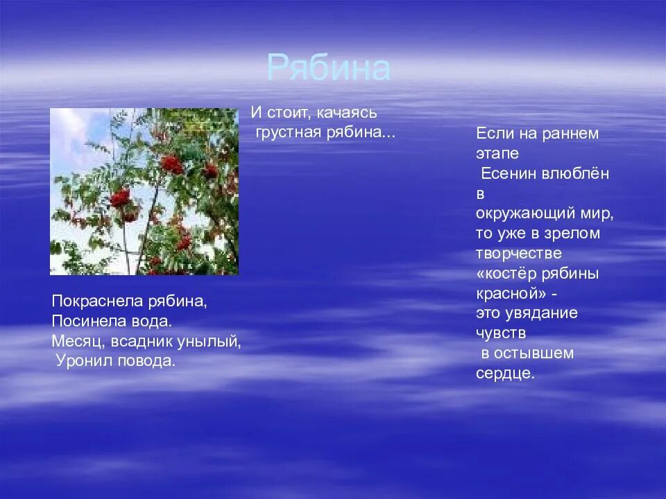 Стихи про рябину. Рябина есенин стих. Стих в саду горит костер рябины красной. Рябина есенин стих. Стихи есенина о красном вечере задумалась дорога.