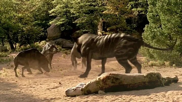 Прогулки с чудовищами с николаем дроздовым. Прогулки с чудовищами 2001. Мамонт bbc прогулки с чудовищами. Прогулки с чудовищами земля гигантов. Bbc: прогулки с чудовищами мультсериал.