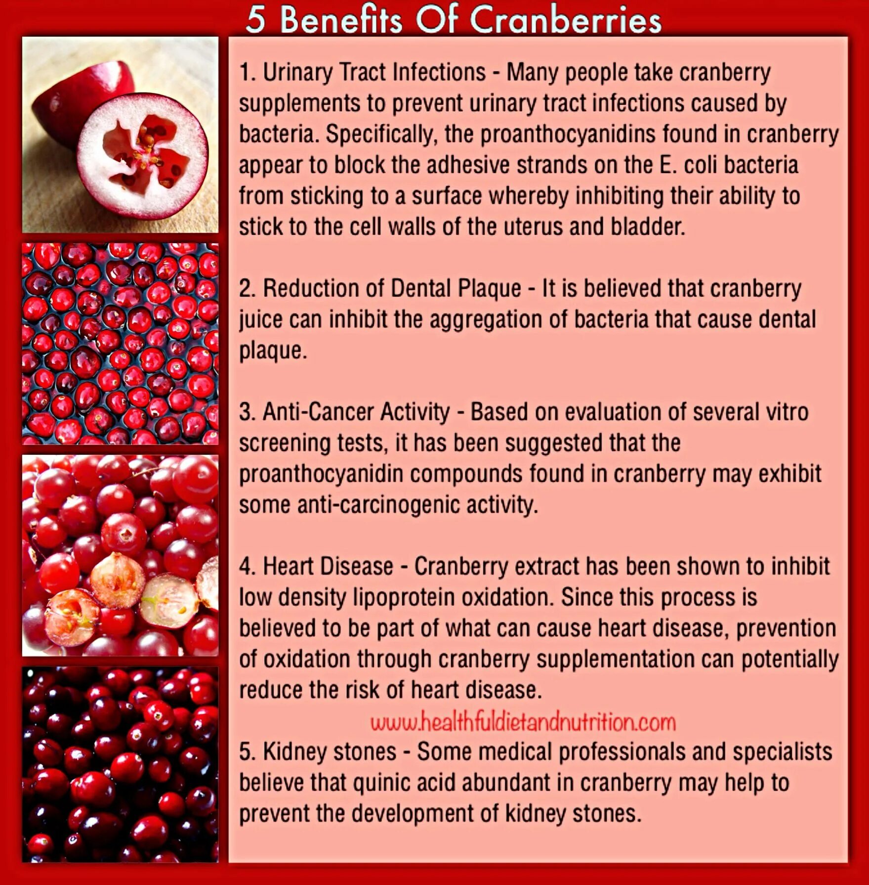 Cranberry benefits. Cranberry Berry extract. Инфографика клюква. Cranberry таблетки.