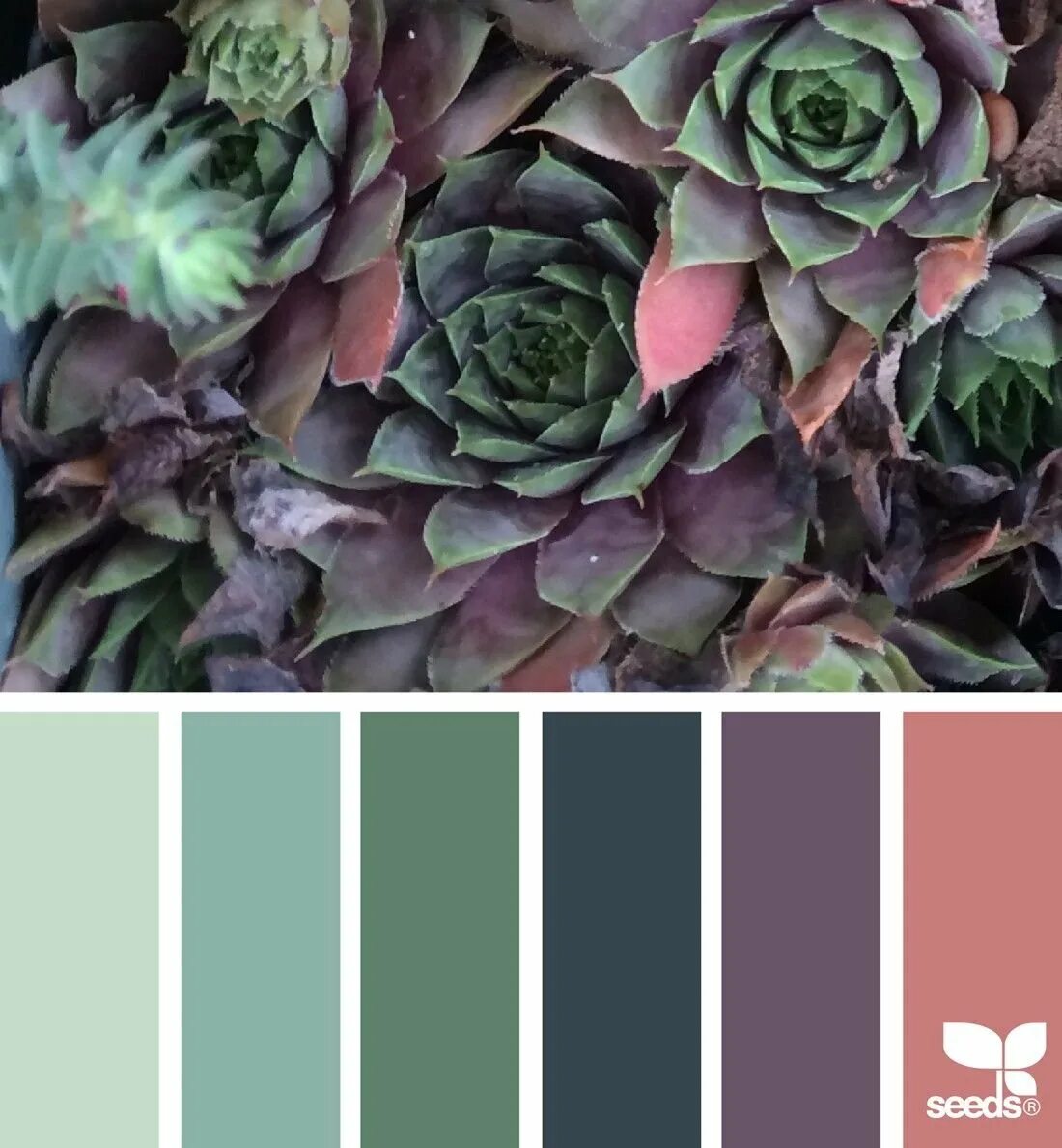 Сочетание цветов с серо зеленым. Seeds Color Palette изумрудный. Хаки шалфей. Палитра шалфей селадон олива. Хаки шалфей цвет.