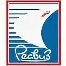 Тезис реавиз