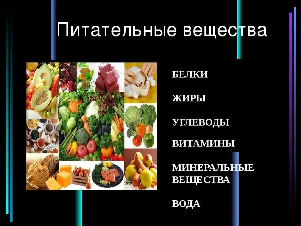 Белки жиры углеводы микроэлементы витамины. Белки жиры углеводы витамины Минеральные вещества вода. Белки жиры углеводы витамины минералы вода. Белки жиры углеводы вода Минеральные соли витамины. Питание белки жиры углеводы витамины