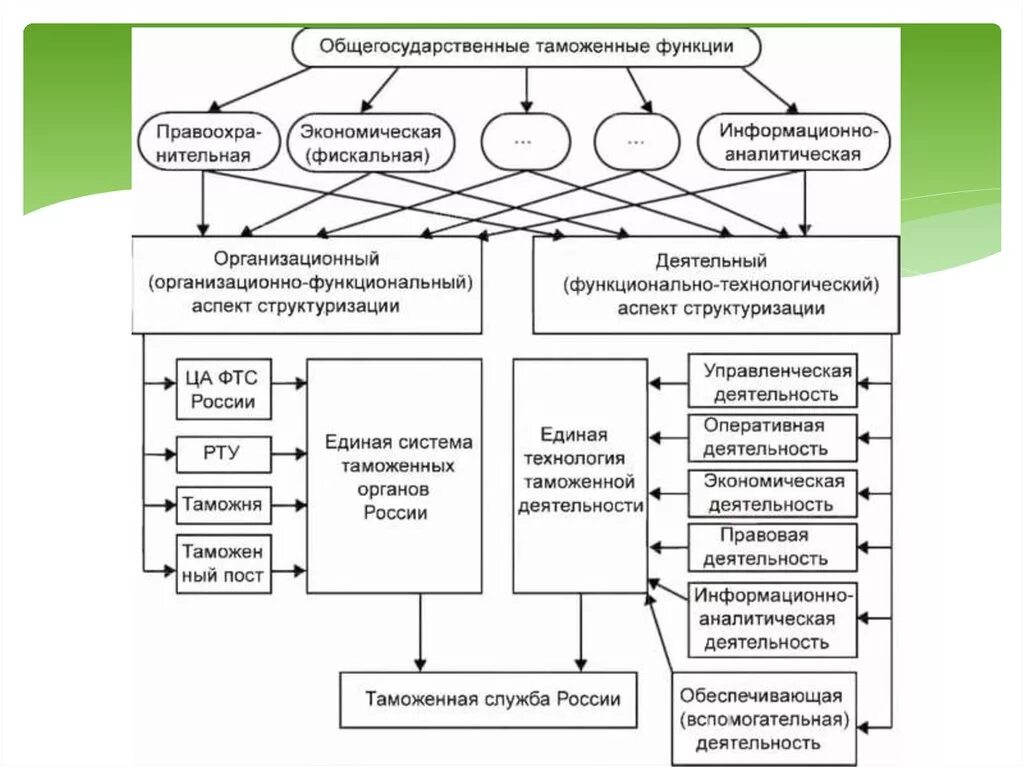 Таможенных органов обеспечения экономической безопасности. Функции управления в таможенных органах схема. Функции таможенных органов схема. Схема системы управления таможенными органами. Функции деятельности ФТС России.