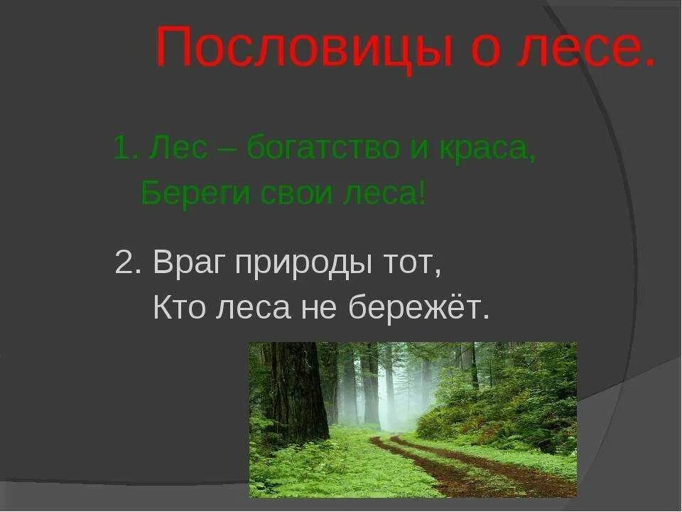 Поговорки забайкальского края. Пословицы о лесе. Пословицы и поговорки о лесе. Пословицы о природе. Поговорки о природе.