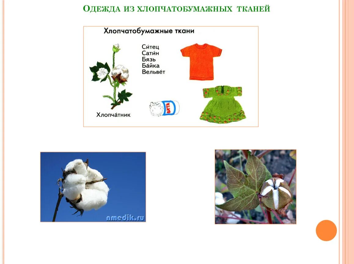 Какие бывают ткани 2 класс технология. Хлопчатобумажные ткани презентация. Виды одежды из хлопчатобумажных тканей. Ткани 2 класс. Виды тканей технология 2 класс.
