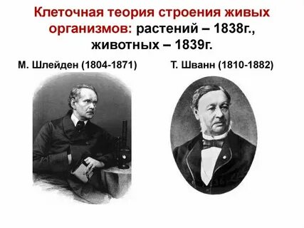 Клеточная теория строения организмов вирусы 9