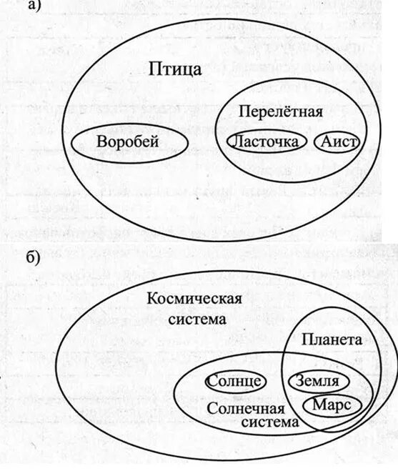 По отношению к определенному кругу. Отношение объектов и их множеств Информатика 6 класс. Круги Эйлера Информатика 6 класс. Отношения между понятиями в логике. Множество по информатике.