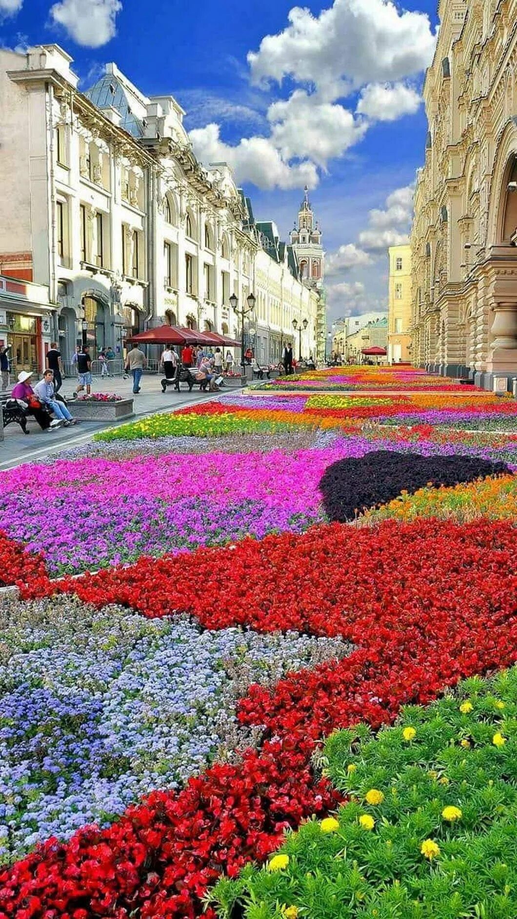 Street of flowers. Цветы на улицах города. Цветочная улица. Улица в цветах. Для цветов на улице.