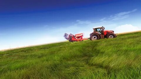 Real farm